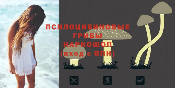 прущий лед Дмитровск