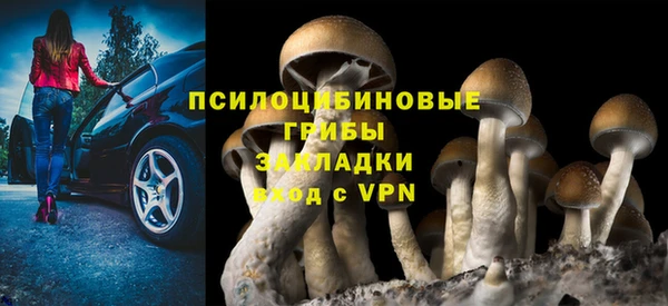 прущий лед Дмитровск