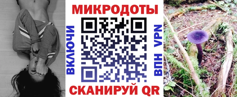 Купить  Таганрог  Галлюциногенные грибы GOLDEN TEACHER 
